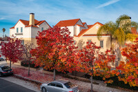 1705 Palm Ave in San Mateo, CA - Foto de edificio - Building Photo