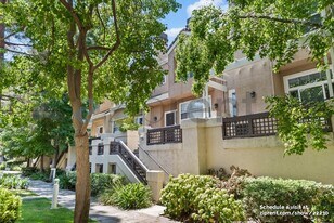 437 Camille Cir in San Jose, CA - Building Photo