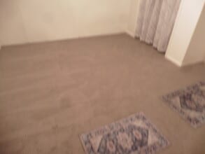 547 W 200 N, Unit 2 in Provo, UT - Building Photo - Building Photo