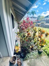 73-4332 Paani Pl, Unit House in Kailua Kona, HI - Building Photo - Building Photo