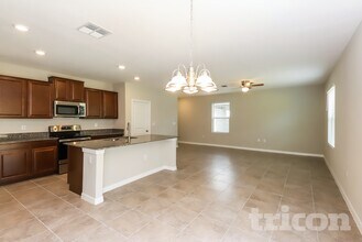 12737 Lemon Pepper Dr in Riverview, FL - Building Photo - Building Photo