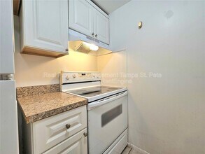 613 Lyndhurst St in Dunedin, FL - Building Photo - Building Photo