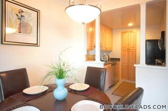 51 Thornton Rd in Brookline, MA - Building Photo - Building Photo