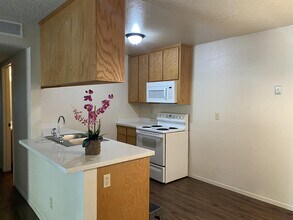 1312 Pietriana Way in Modesto, CA - Building Photo - Building Photo