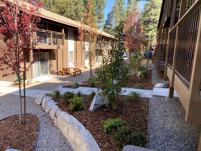 1070 Echo Road Apartments in South Lake Tahoe, CA - Building Photo - Building Photo