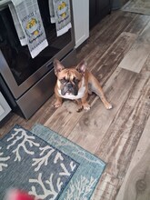 936 Pineclair Dr SW in Calabash, NC - Building Photo - Building Photo