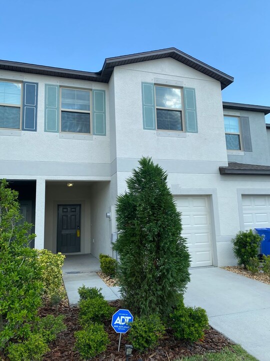 4553 Globe Thistle Dr in Tampa, FL - Building Photo