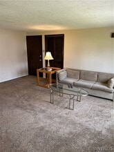 307 Cayuga Rd in Williamsville, NY - Building Photo - Building Photo