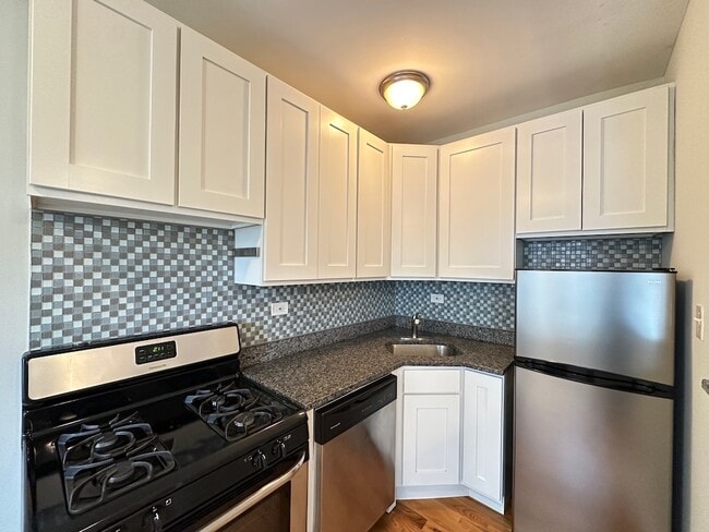 515 W Melrose St, Unit J01W in Chicago, IL - Building Photo - Building Photo