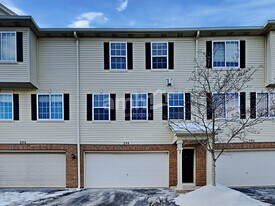 294 Timber Trails Blvd in Gilberts, IL - Building Photo
