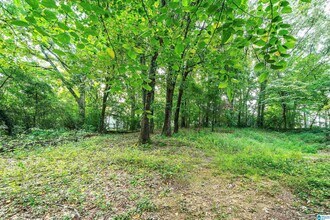 2415 Ormond Dr in Center Point, AL - Building Photo - Building Photo