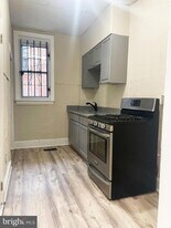 3259 Potter St in Philadelphia, PA - Building Photo
