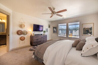 4456 Barrow Ln in Timnath, CO - Building Photo - Building Photo