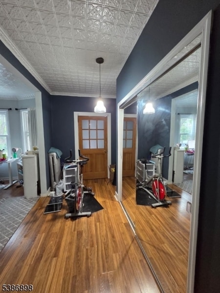 49 Feronia Wy in Rutherford, NJ - Building Photo - Building Photo