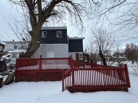 388 Chalmers St in Detroit, MI - Building Photo