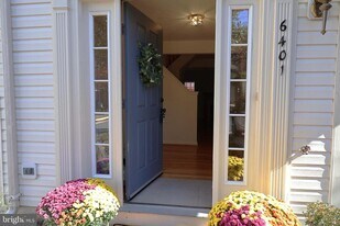 6401 Lureta Ann Ln in Springfield, VA - Building Photo