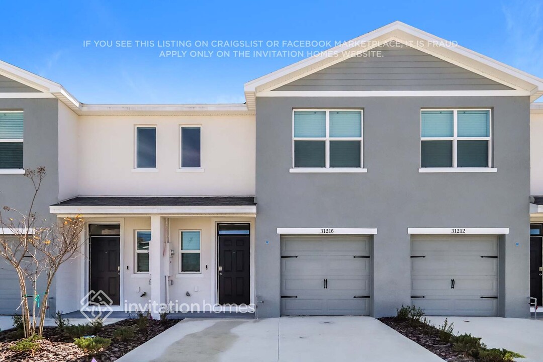 31216 Striped Maple Ln in Wesley Chapel, FL - Building Photo
