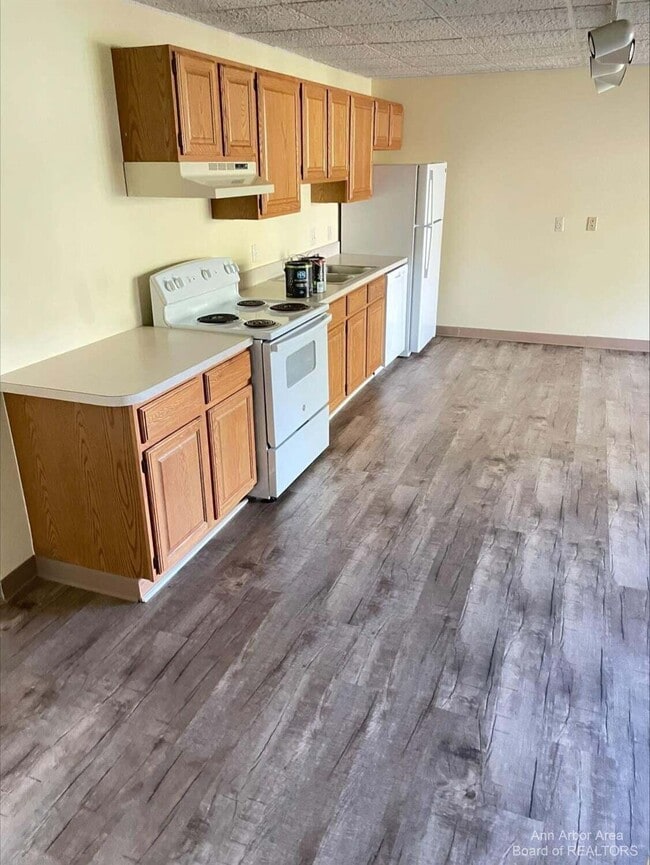 116 W McKay St in Saline, MI - Building Photo - Building Photo