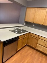 6802 Antigua Dr in Fort Collins, CO - Building Photo - Building Photo