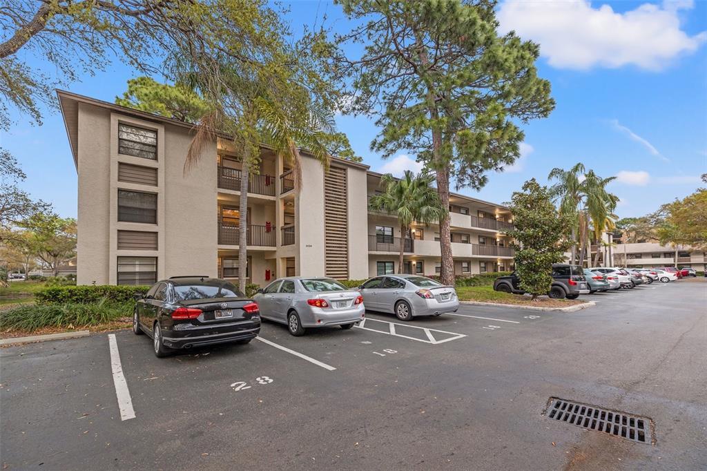 3038 Eastland Blvd in Clearwater, FL - Building Photo