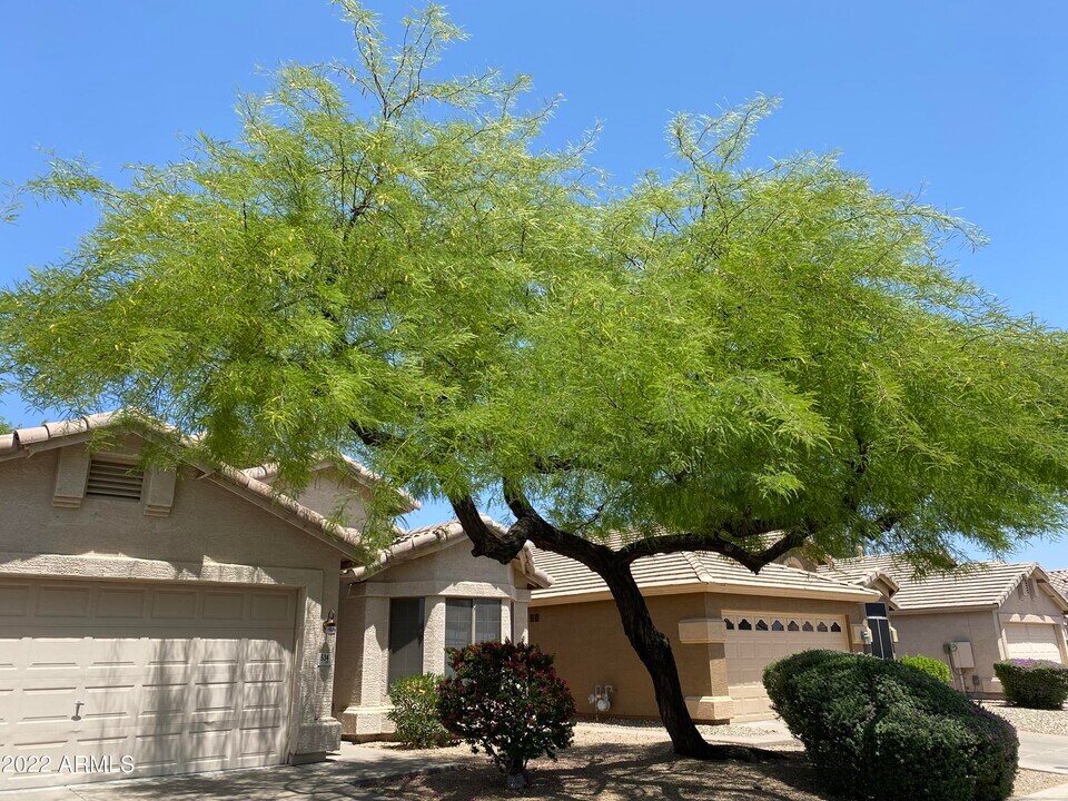 534 W Bluefield Ave in Phoenix, AZ - Foto de edificio