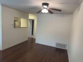 1407 W 39th 1/2 St in Austin, TX - Building Photo