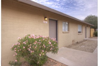 Suede Apartments in Phoenix, AZ - Building Photo - Building Photo