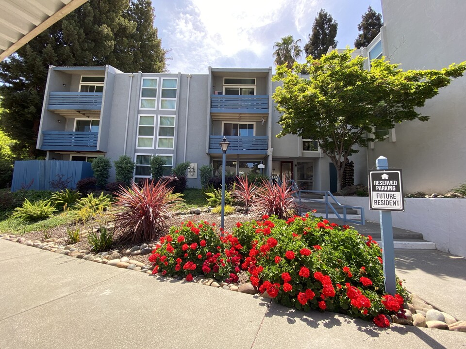 Riverfront Apartments in Sacramento, CA - Building Photo