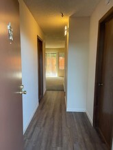 385 Murphy Ave in Sebastopol, CA - Building Photo - Building Photo
