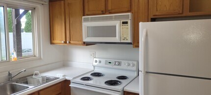240 N Carter St in Palatine, IL - Building Photo - Building Photo