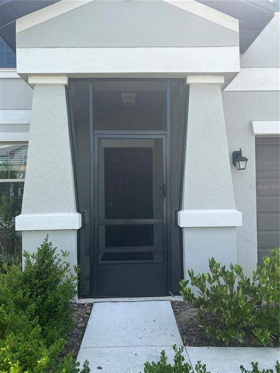 31811 Sun Kettle Lp in Wesley Chapel, FL - Building Photo - Building Photo