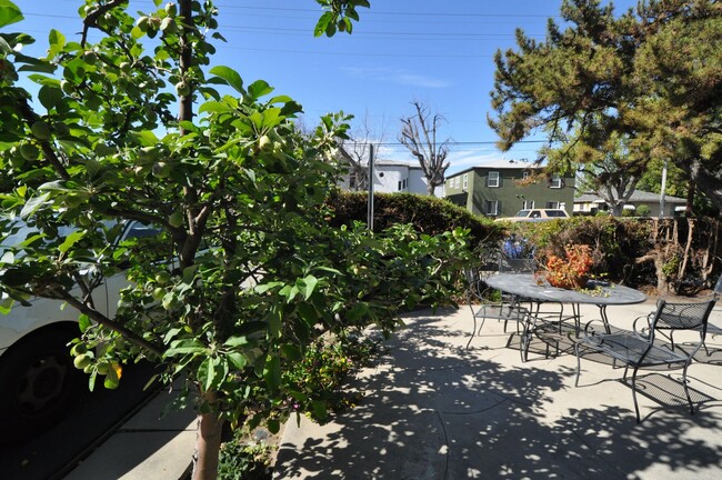 10924 Camarillo St in Los Angeles, CA - Building Photo - Building Photo