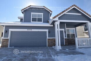 4209 Beautiful Cir in Castle Rock, CO - Building Photo