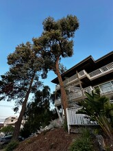 611 Virginia St in Vallejo, CA - Building Photo - Building Photo