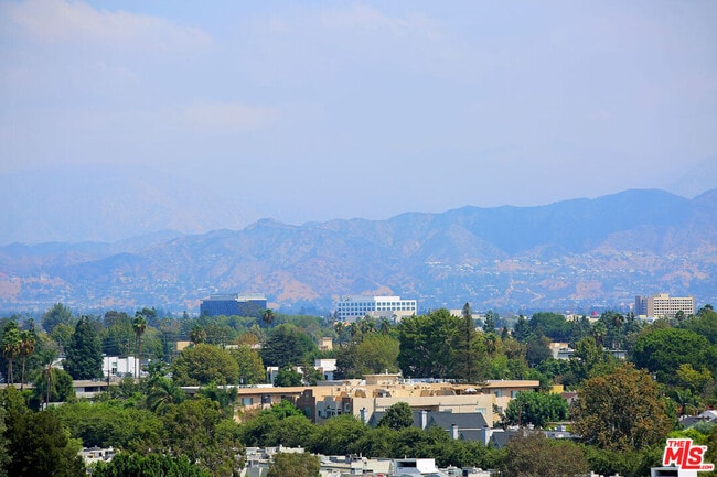 11851 Laurelwood Dr in Los Angeles, CA - Building Photo - Building Photo