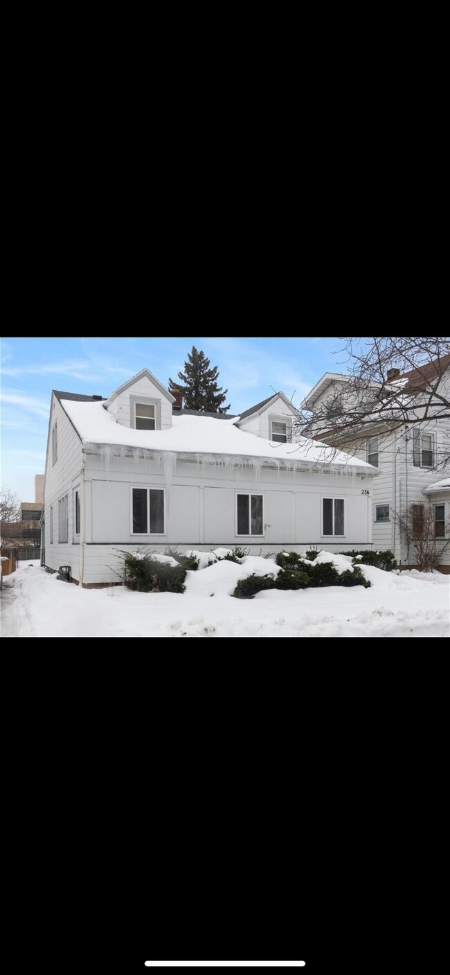 236 Arbutus St Rentals in Rochester, NY