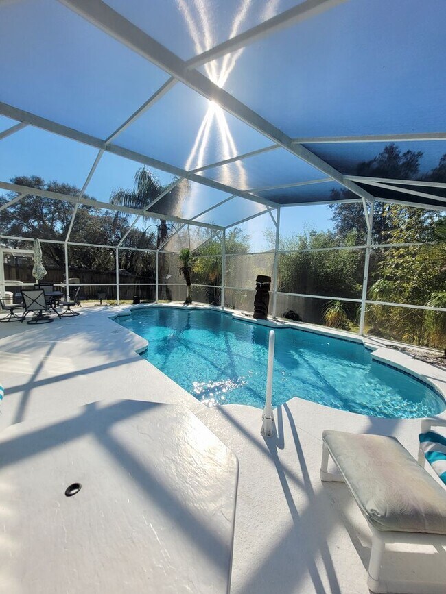 245 Foggy Creek Rd in Davenport, FL - Building Photo - Building Photo