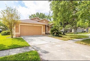 15534 Martinmeadow Dr in Fish Hawk, FL - Building Photo
