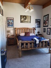 839 Steinfelt Pkwy in Fairplay, CO - Building Photo - Building Photo