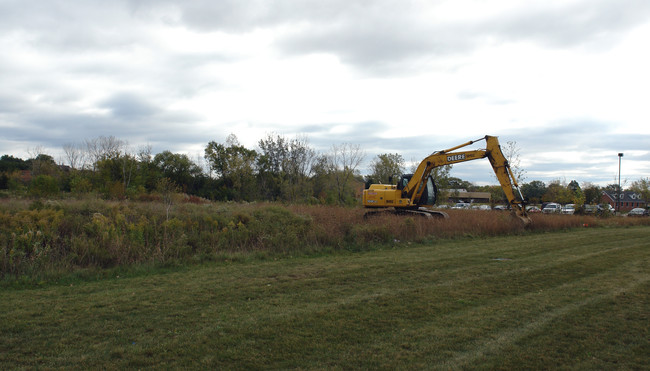 Zurich Meadows in Lake Zurich, IL - Building Photo - Building Photo