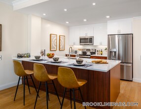 101 Asheville Rd, Unit 305 in Brookline, MA - Building Photo - Building Photo