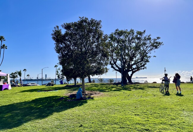 property at 31 Hermosa Ave