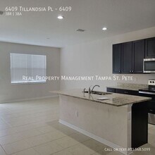 6409 Tillandsia Pl in Tampa, FL - Building Photo - Building Photo