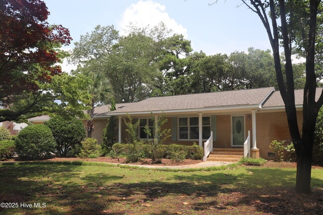 207 Gemini Ct in Cape Carteret, NC - Building Photo - Building Photo