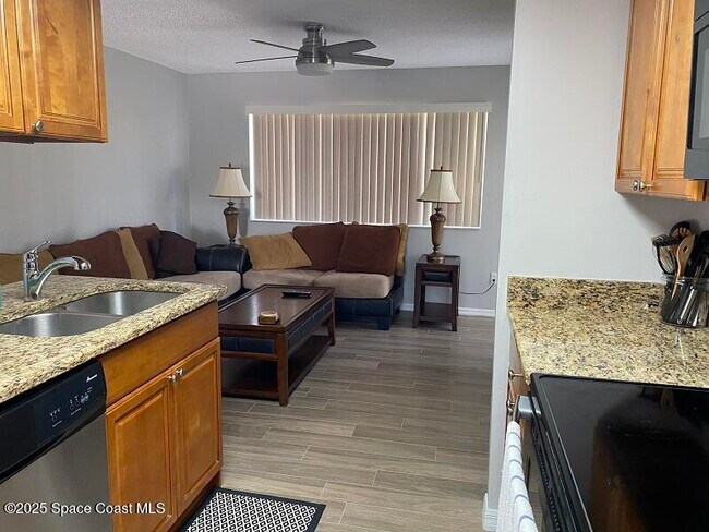 344 Beach Park Ln in Cape Canaveral, FL - Building Photo - Building Photo