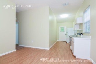 238 N Lemon Ave in Brooksville, FL - Building Photo - Building Photo