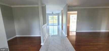 23853 Neptunes Ct in Millsboro, DE - Building Photo - Building Photo