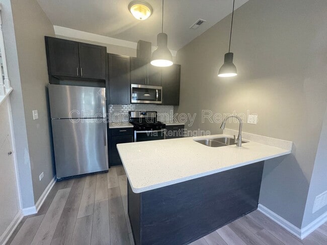 2624 W 24th St in Chicago, IL - Building Photo - Building Photo