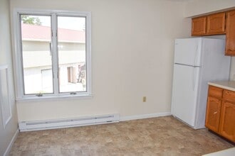 310 S Lincoln Ave in Jersey Shore, PA - Building Photo - Building Photo