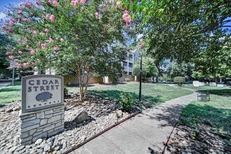 300 S Cedar St, Unit 9 in Charlotte, NC - Building Photo - Building Photo